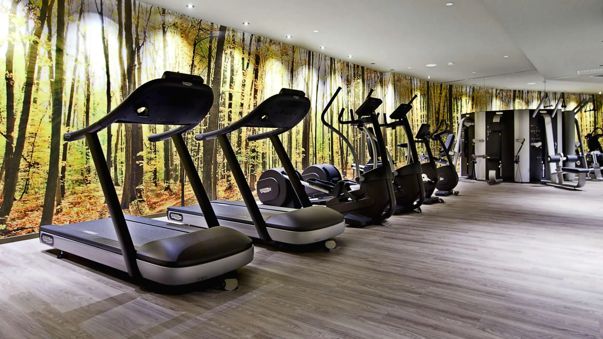 Hotel Sb Plaza Europa L'Hospitalet de Llobregat 4*,